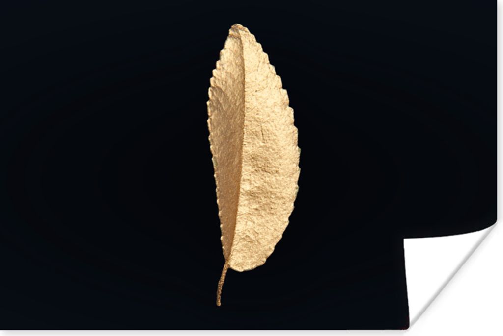 MuchoWow Poster Blätter - Schwarz und Gold - Luxus - Chic - Natur 30x20 cm - Plakate - Print