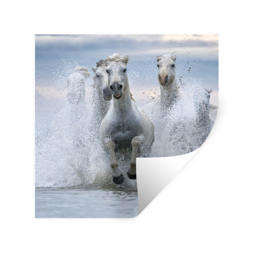 MuchoWow Wandtattoo Wandsticker Wandaufkleber Eine Herde weißer Pferde galoppiert durch das Wasser in der Camargue 100x100 cm Selbstklebend und ...