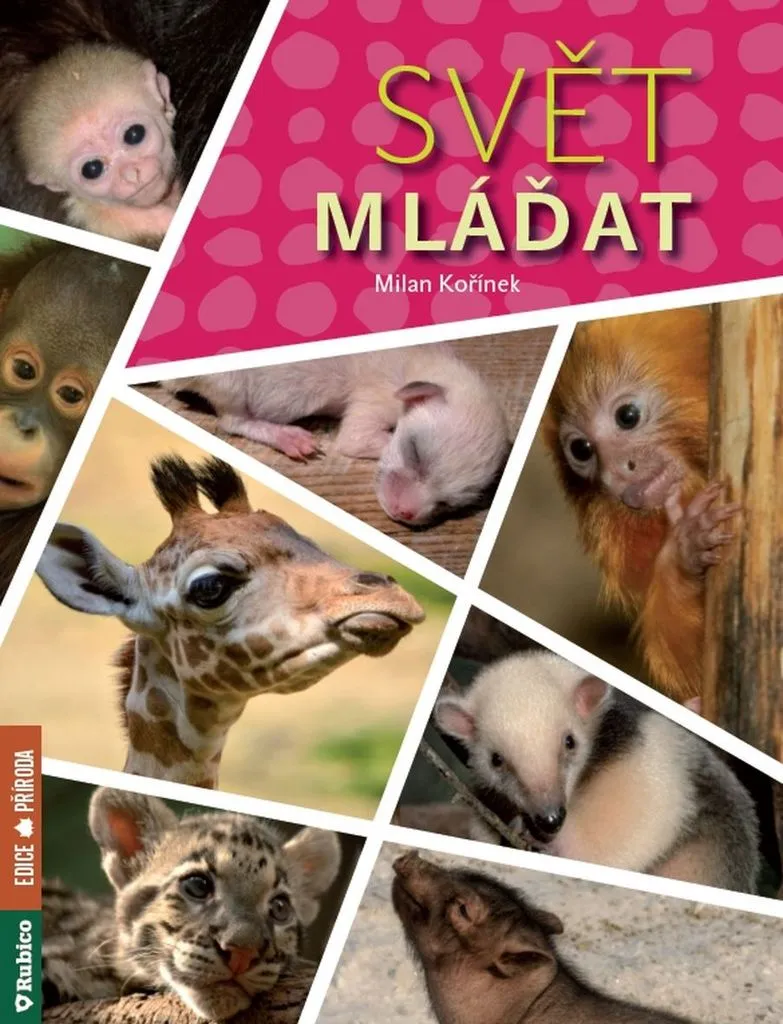 Livre Svět mláďat par Milan Kořínek : Découverte du Monde Animalier