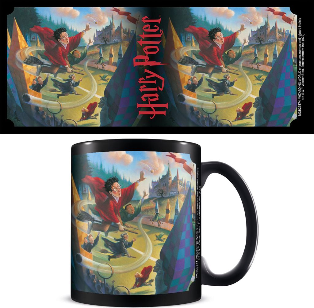 Harry Potter - Lizenz Tassen 3D - Book 1 Quidditch - black