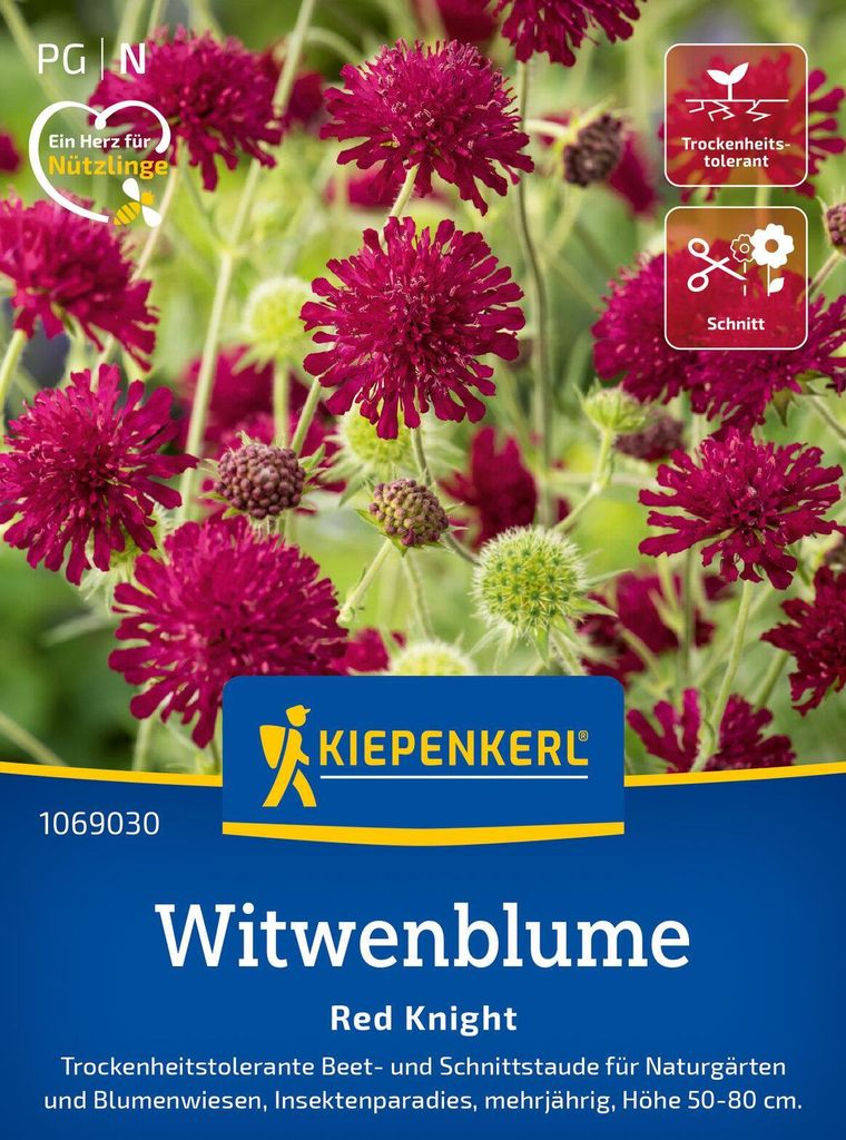 Kiepenkerl Witwenblumensamen Red Knight Knautia macedonica Produktbild 