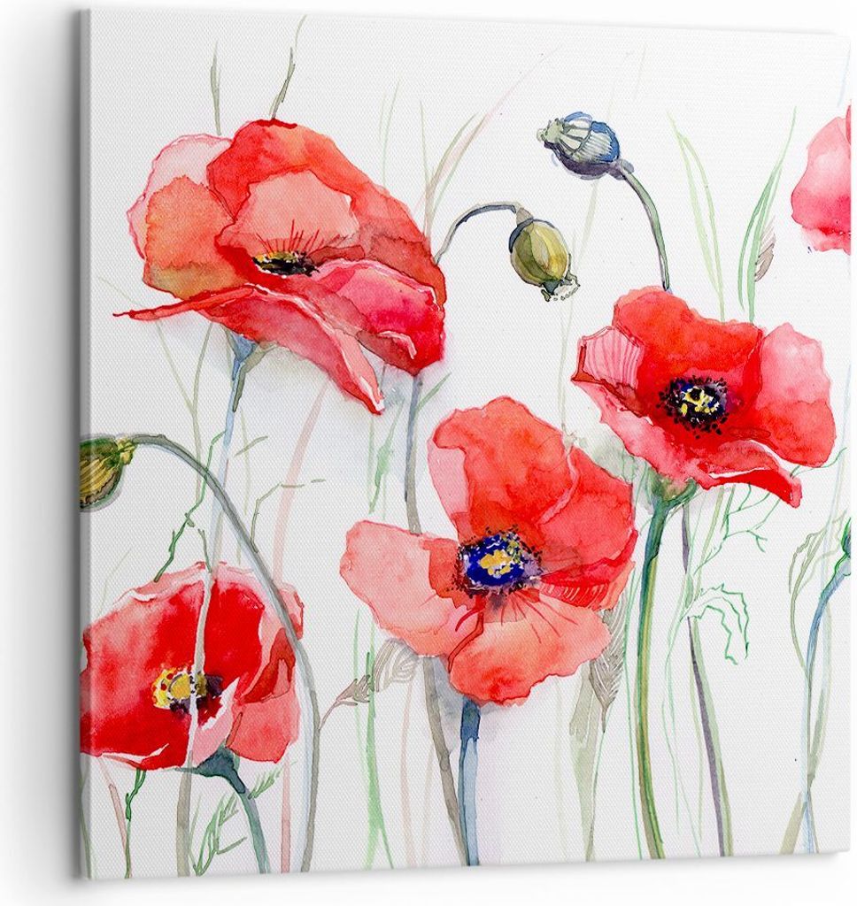 Bild auf Leinwand - Leinwandbild - Blume Mohn Wiese - 60x60cm - Wand Bild - Wanddeko - Wandbilder - Leinwanddruck - Bilder - Kunstdruck - Wanddekor...