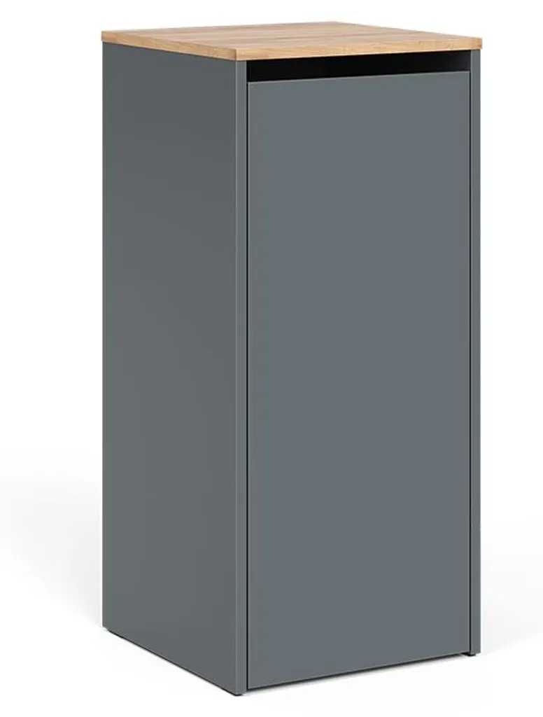 Armoire Viktor Anthracite 40x88cm avec Panier à Linge et Décor Chêne Doré