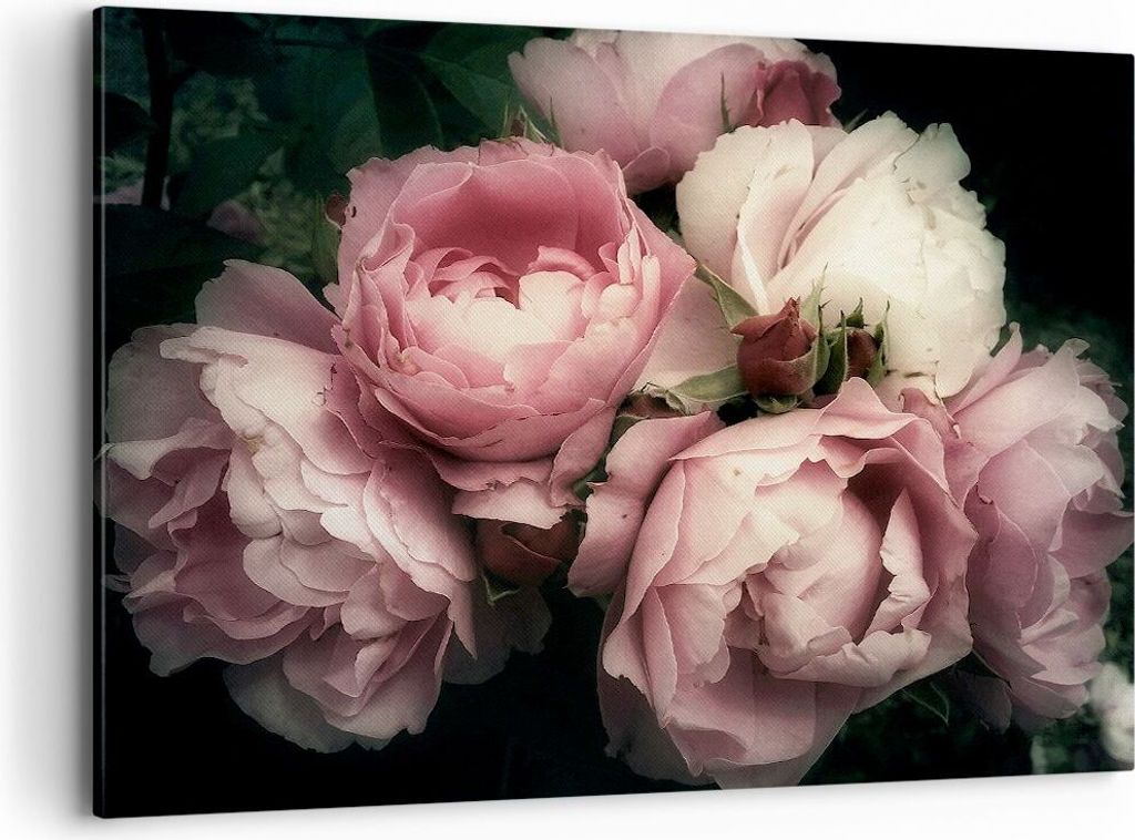 Bild auf Leinwand - Leinwandbild - Pfingstrose Blume - Produktbild 