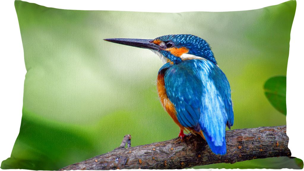 MuchoWow Zierkissen Sofakissen Wohnzimmer Dekokissen 50x30 cm Eisvogel - Zweig - Blau - Wohnzimmerdekoration - Polster mit Photo