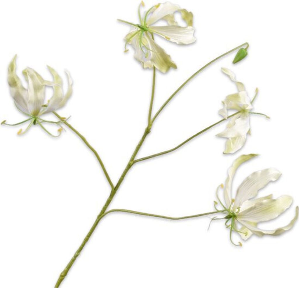 Silk-ka Künstliche Blumen-Seidenblumen Gloriosa-Zweig Creme Produktbild 