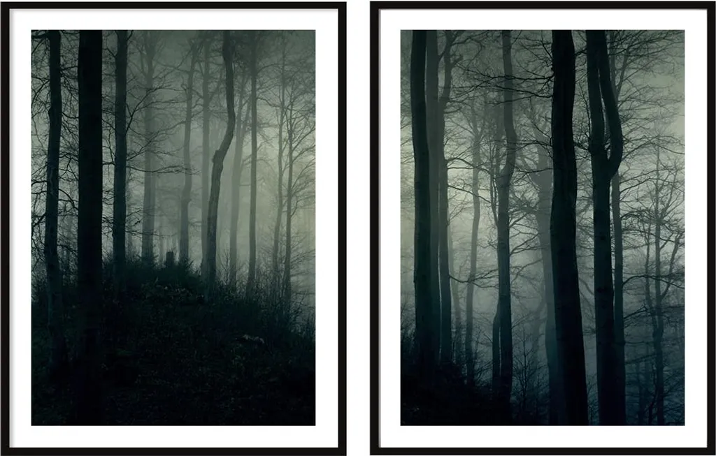 Tableaux pour Salon : Set de 2 Affiches Dark Forest 53x73 cm Encadrées