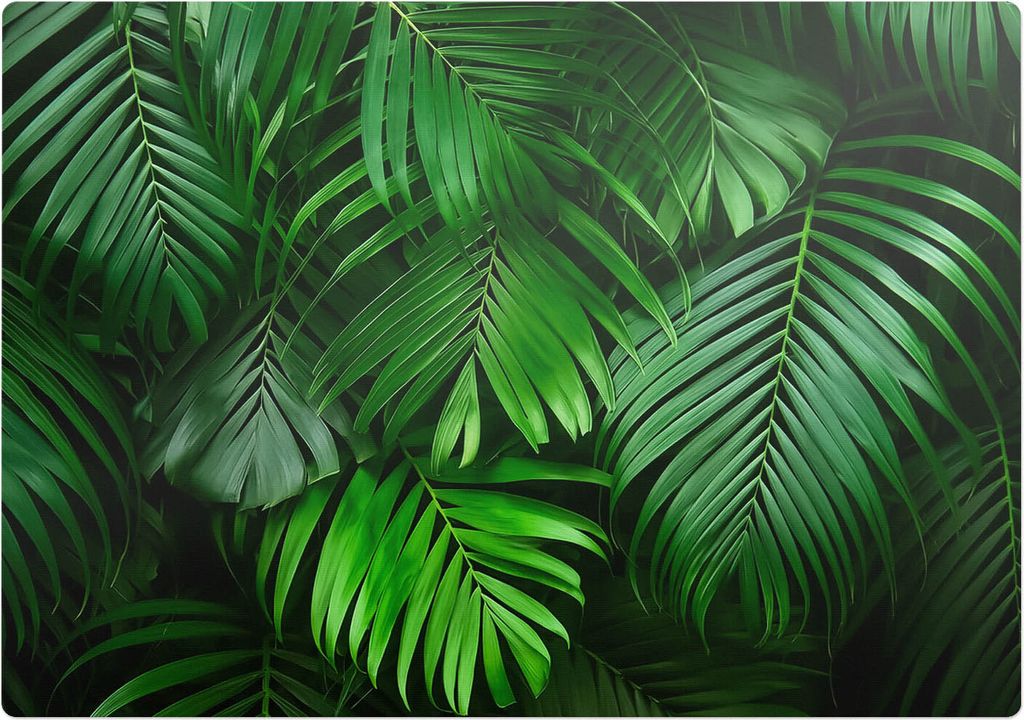 Palmenblätter im Hintergrund – Bodenschutzmatte – Stuhlunterlage 100x100 cm – Rutschfest – Hartbodenmatte