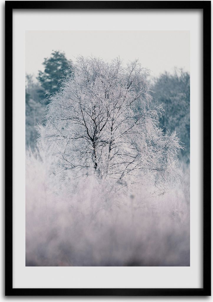 Bild - Bilderrahmen - Foto - 70 cm x 100 cm - MDF - Rahmen - Wandkunst - Winterwald