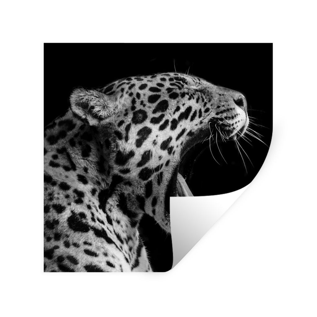 MuchoWow Wandtattoo Wandsticker Wandaufkleber Jaguar - Tier - Schwarz - Weiß 80x80 cm Selbstklebend und Repositionierbar - Wierderverwendbar - S...