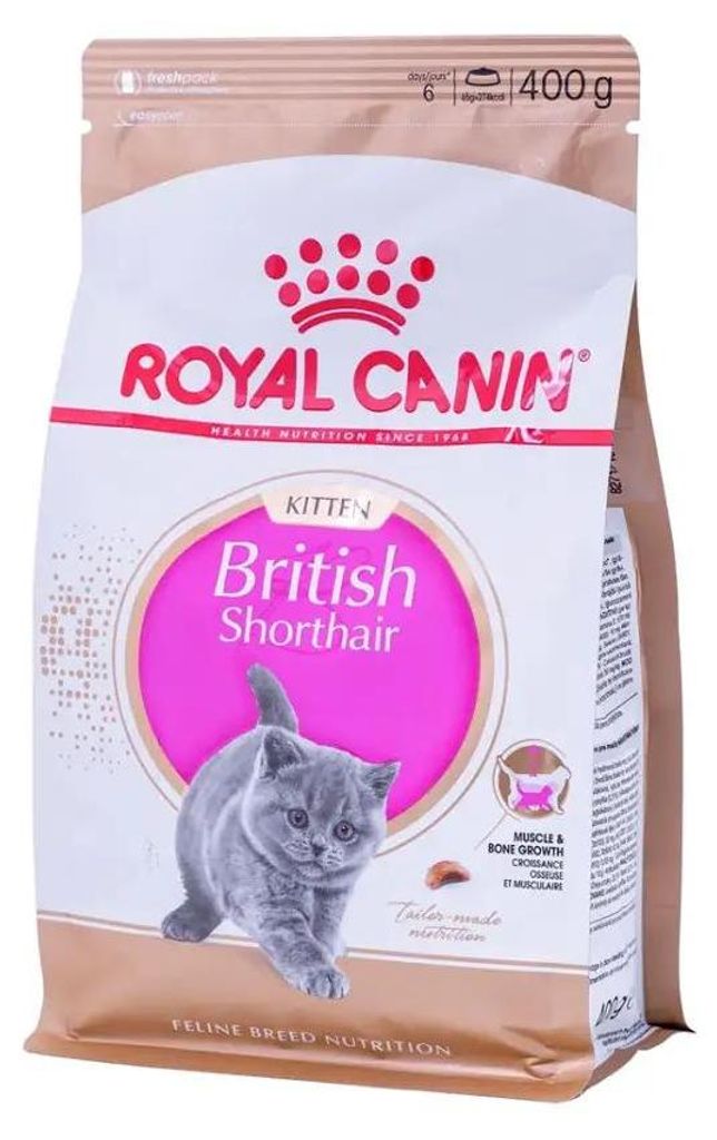Royal Canin British Shorthair Kitten, Dorosły, Drób, 400 g Zdjęcie produktu 