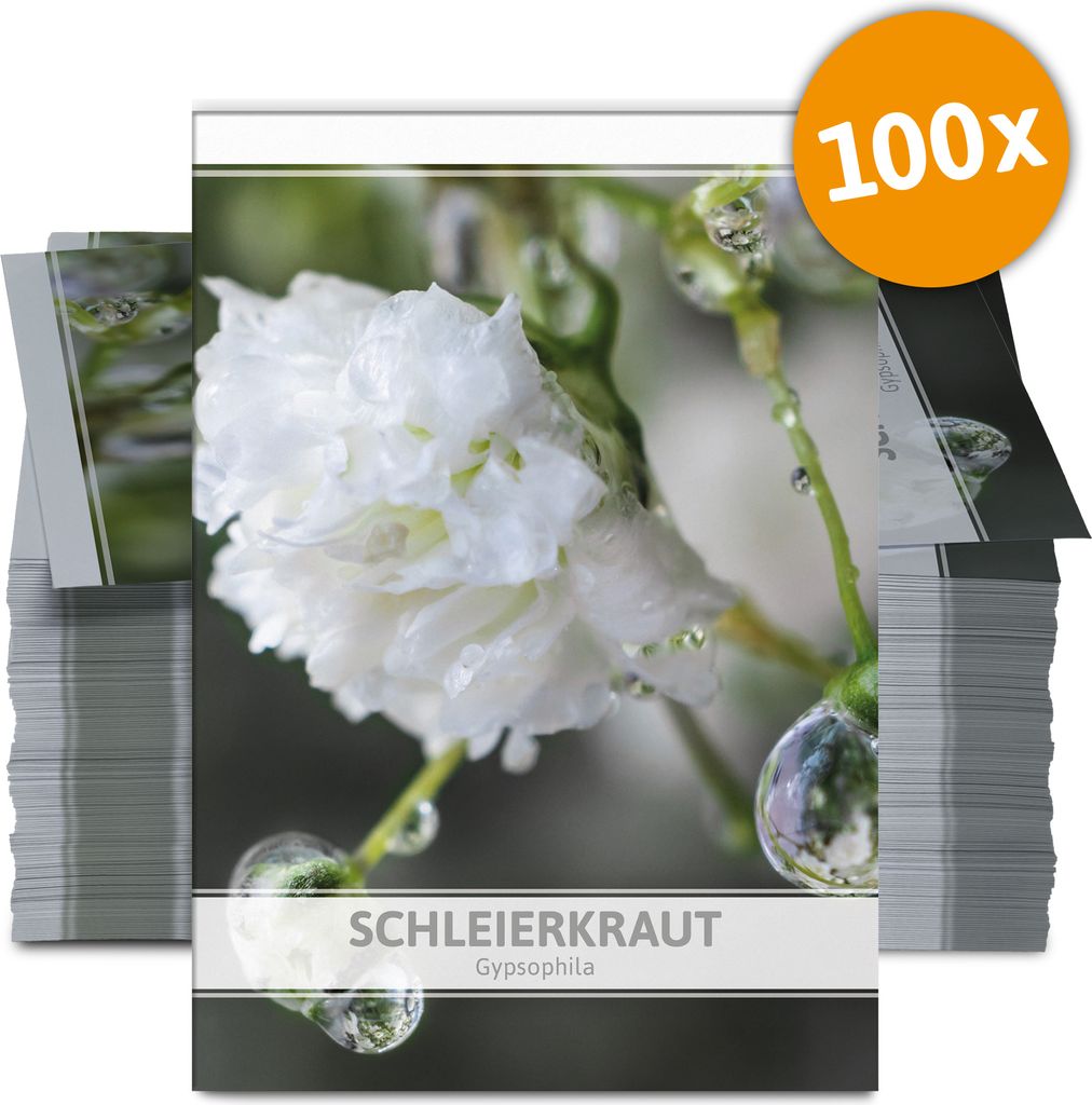 Schleierkraut für Werbezwecke (100 Tütchen) | Schleierkrautsamen von FLORTUS