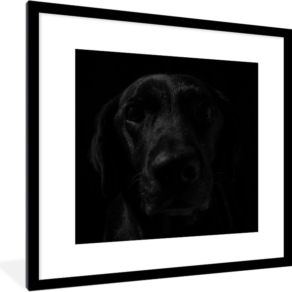 MuchoWow® Gerahmtes Poster Hund - Haustier - Schwarz 40x40 Produktbild 