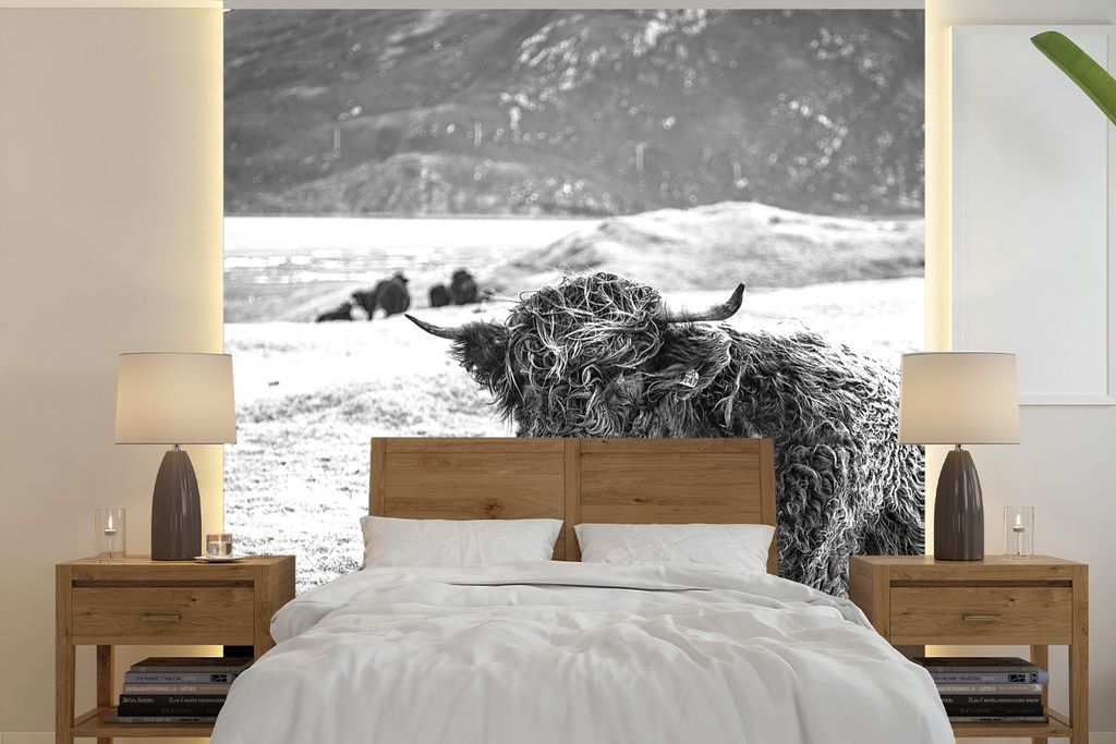 MuchoWow Fototapete für Wohnzimmer oder Schlafzimmer Wandtapete Vinyl Motivtapete Schottischer Highlander - Berg - Tiere - 300x300 cm - Wanddeko...