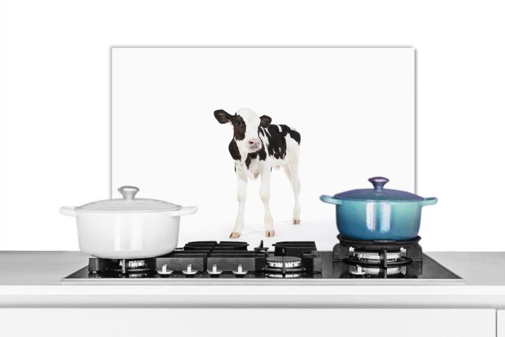 KitchenYeah Spritzschutz Küche - Küchenrückwand - Wandschutz für Herd und Spüle - Kuh - Kalb - Weiß - Tiere 60x40 - Alu-Dibond (Alternative...