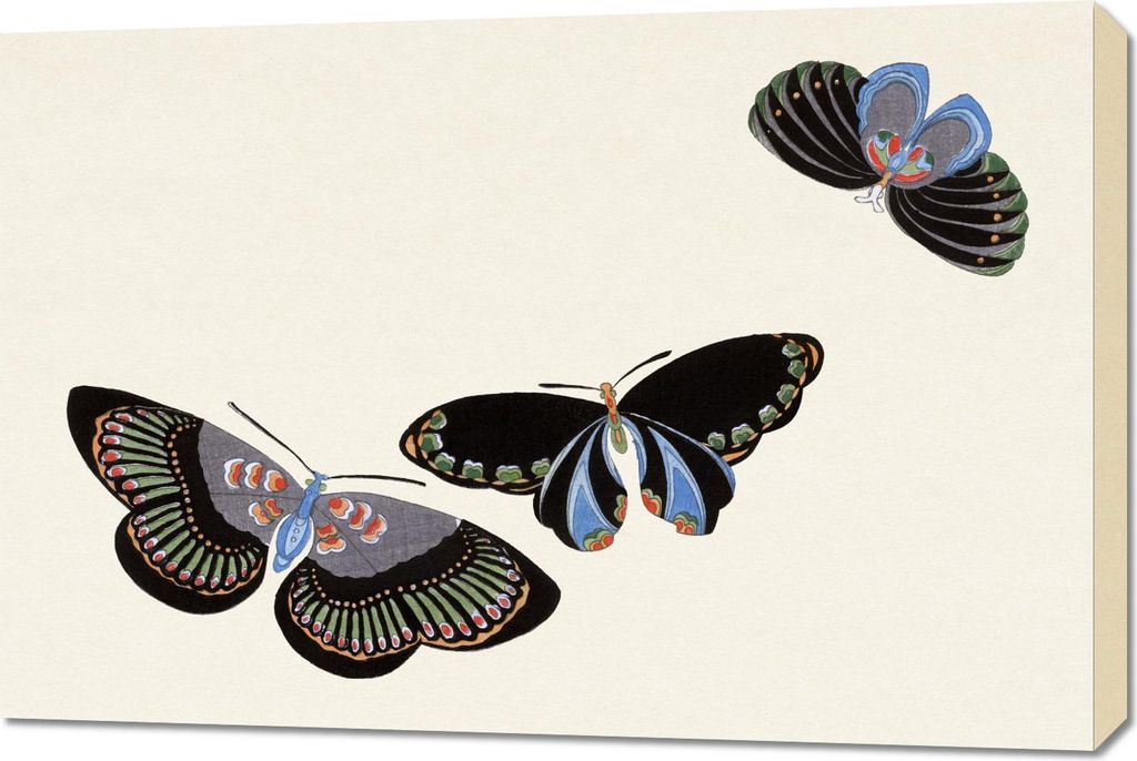 Bild 90x60cm Schmetterling 11, Japanisches Vintage Sekka für das Wohnzimmer