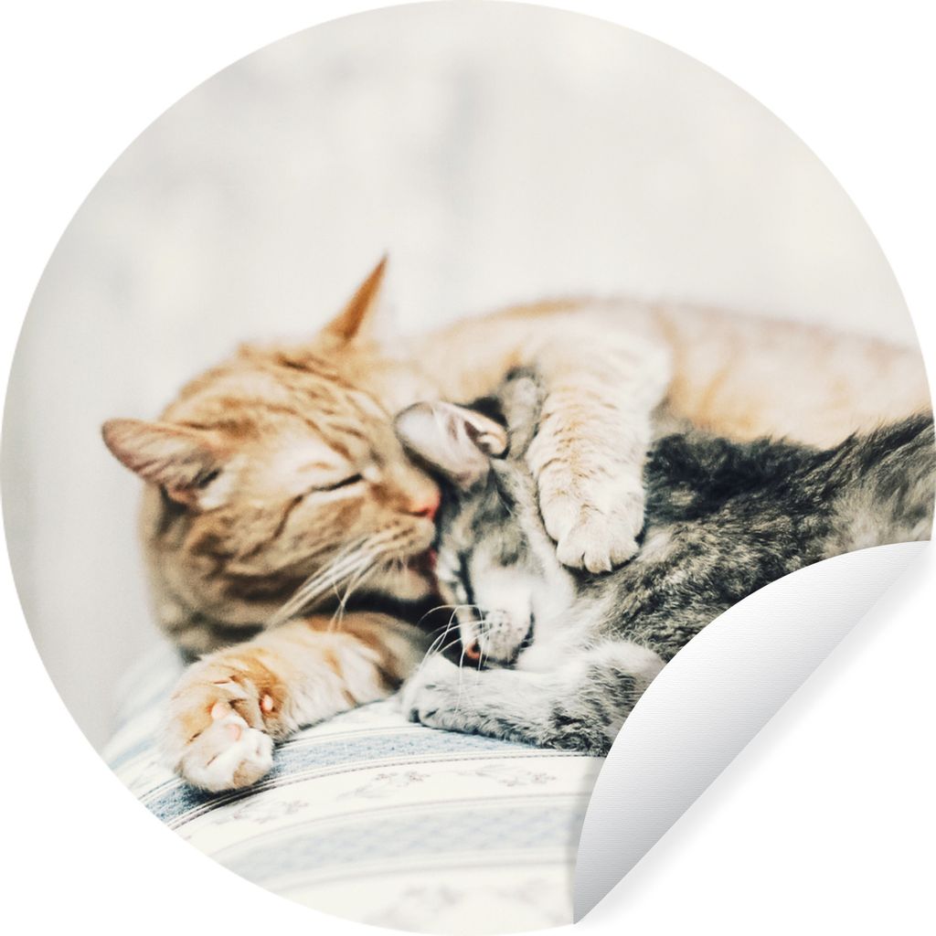 MuchoWow Runde Wandtattoo - Wandsticker Tapete Aufkleber Katze - Kuscheln - Stuhl Ø 50 cm Selbstklebend und Repositionierbar - Wandaufkleber - K...