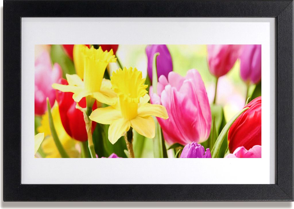 Bild 30x20 MDF-Rahmen Wandkunst Blumen Pflanzen Natur