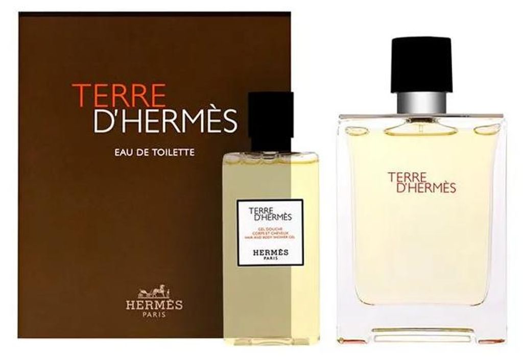 Hermès Terre D'Hermès EDT 100 ml + SG 80 ml M Immagine del prodotto 