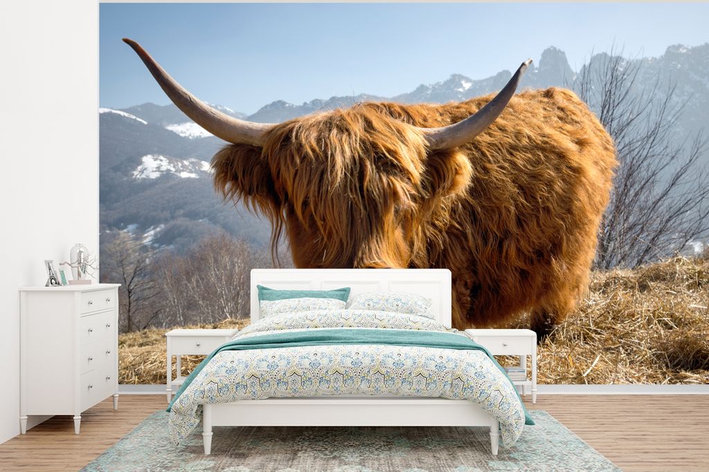 MuchoWow Fototapete für Wohnzimmer oder Schlafzimmer Wandtapete Vinyl Motivtapete Schottischer Highlander - Berg - Schnee - 350x260 cm - Wohnzim...