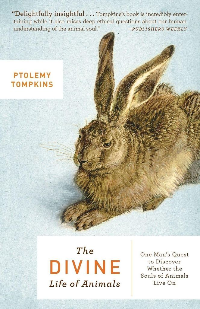 The Divine Life of Animals