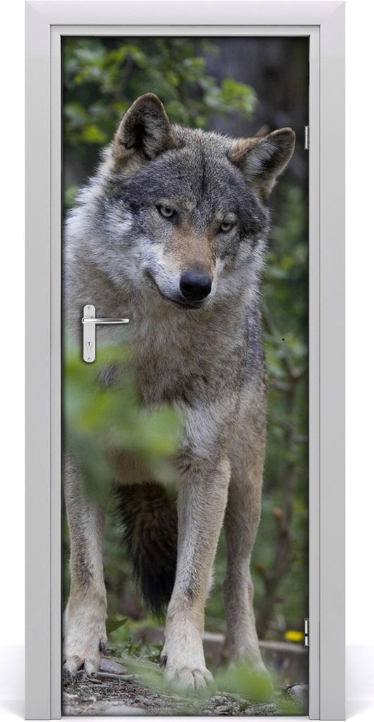 Tulup Türaufkleber 75x205 cm Dekorative Aufkleber Selbstklebend Wasserdichte Tapete Abnehmbar Schlafzimmer Wohnzimmer Wohnkultur - Wolf im Wald