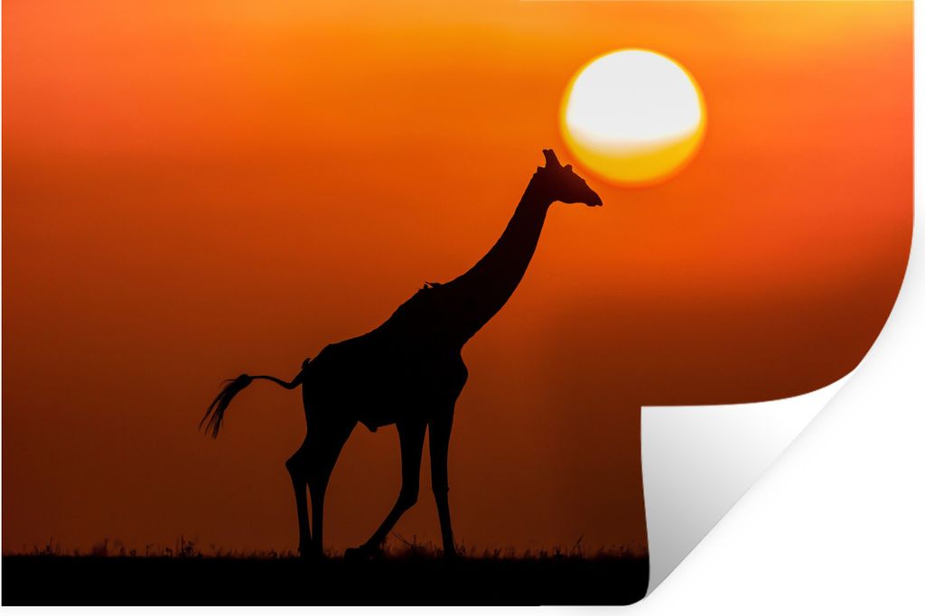 MuchoWow Wandtattoo Wandsticker Wandaufkleber Giraffe - Himmel - Sonne - Scherenschnitt 120x80 cm Selbstklebend und Repositionierbar - Selbstkleb...