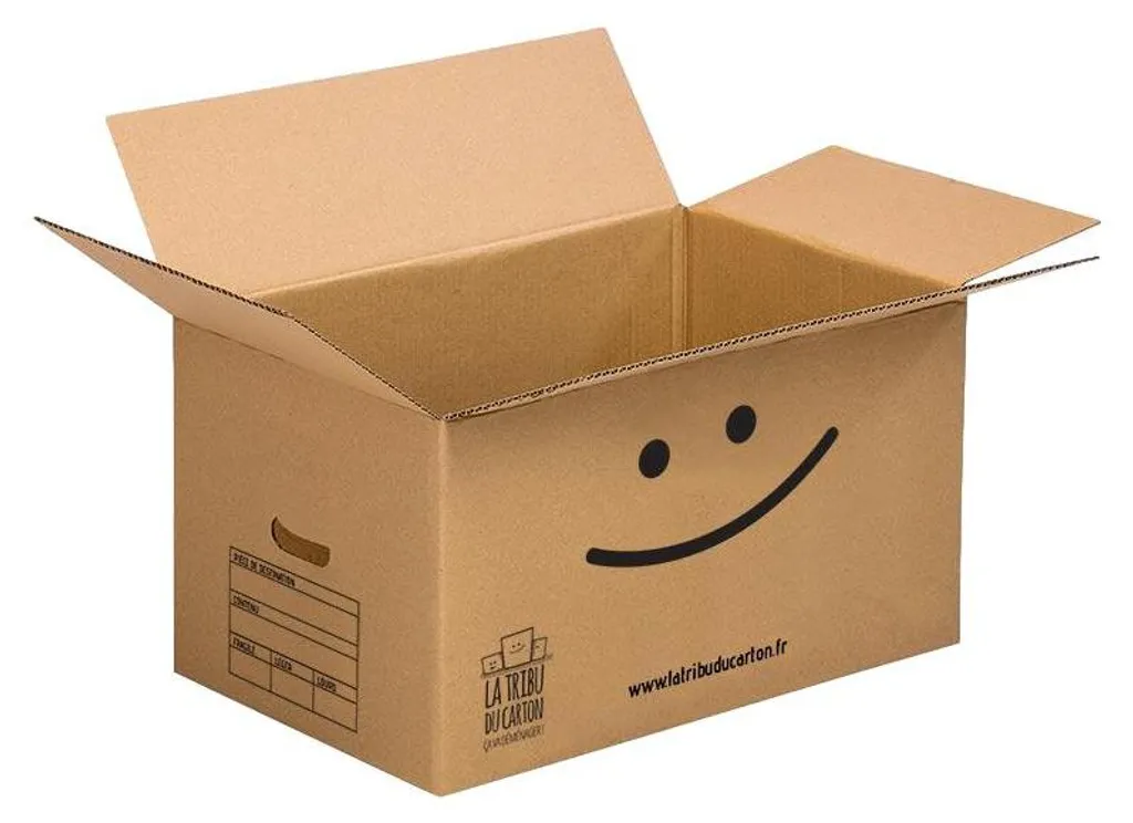 Lot de Cartons de Déménagement Spécial Grand Appartement T5 et Maison