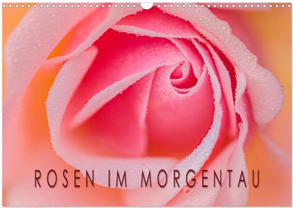 Rosen im Morgentau (Wandkalender 2026 DIN A3 quer), CALVENDO Monatskalender