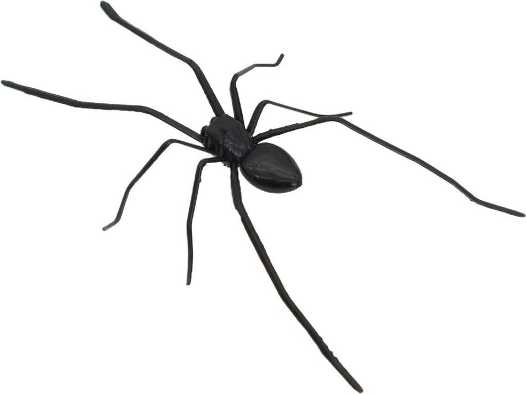 1/2 Stück magnetische 3D-Spinnendekoration, gruselige realistische Riesenspinne, Halloween-Streich-Requisiten, Garagentor, Briefkasten, Schließfa...