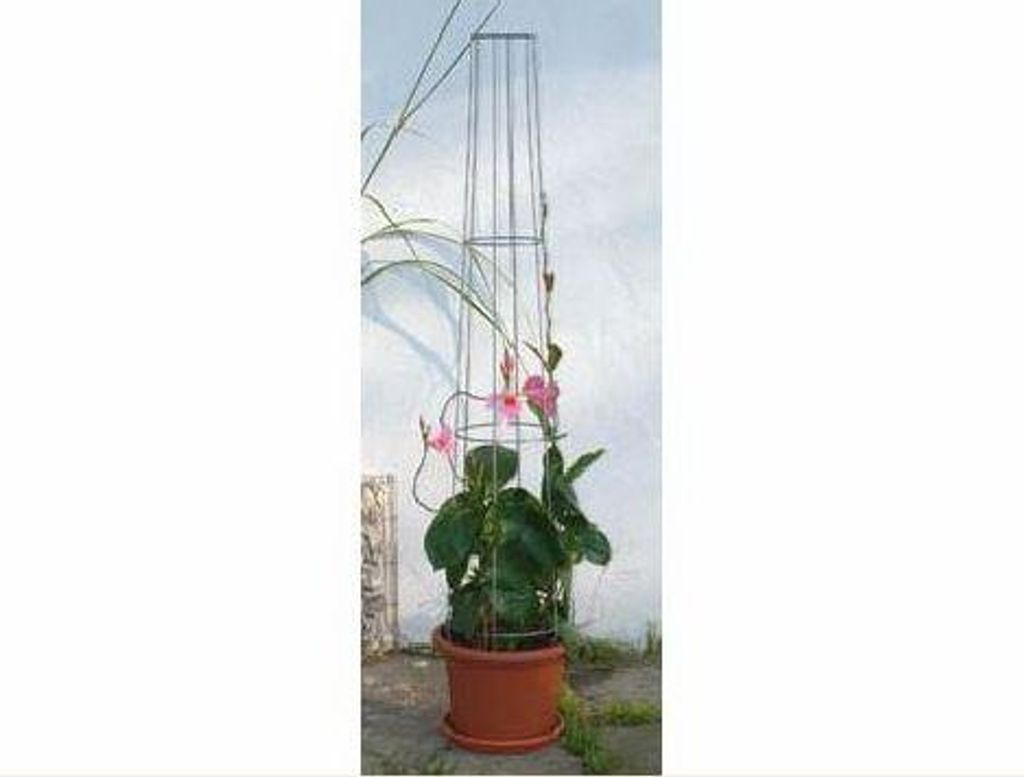 Bellissa Ranksäule Aktion 130cm 130 cm hoch Produktbild 