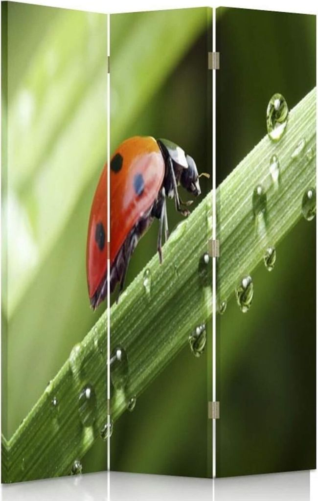 Paravent - Raumteiler Ladybird - Dekorativer Raumtrenner cm. 110x150 (3 x)