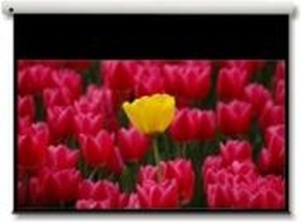 Optoma DE-9106EGA elektrische Leinwand 106'' (262,9cm) Bildformat 16:9