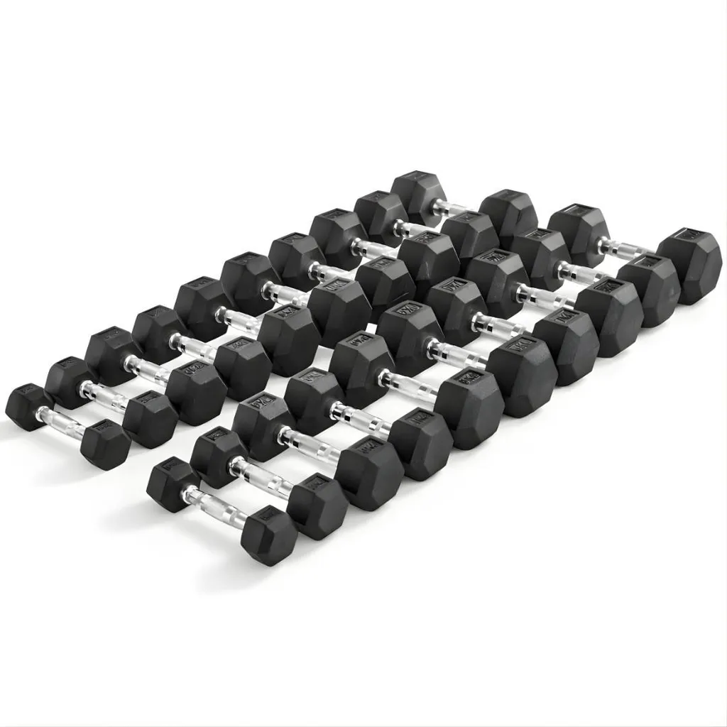 Set d'haltères pour Musculation à Domicile : 1-10kg Hexa Fitness