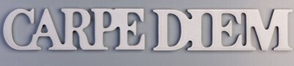 2tlg. Set Magnete Carpe Diem silber Magnet