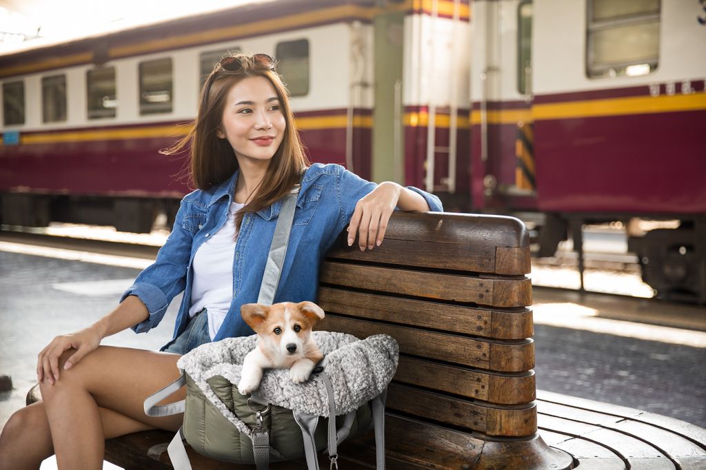Produktbild von Hundetragetasche Rot Kariert Transporttasche Hunde Katzen S-M-L Tasch