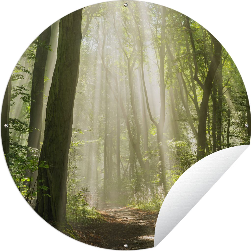 MuchoWow Gartenposter Outdoor-Poster Rund Wald - Licht - Natur - Landschaft Ø 90 cm Gartendeko Rundes Poster draußen