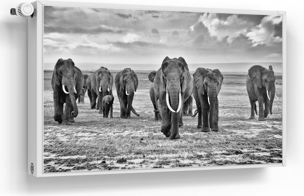 DEQORI Magnetmatte Heizung beschreibbar 100x60 cm 'Elefantenmarsch' Magnetfolie