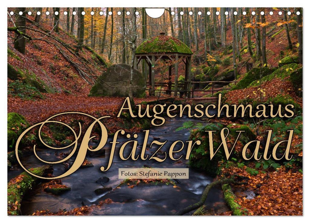 Augenschmaus Pfälzer Wald (Wandkalender 2027 DIN A4 quer), CALVENDO Monatskalender