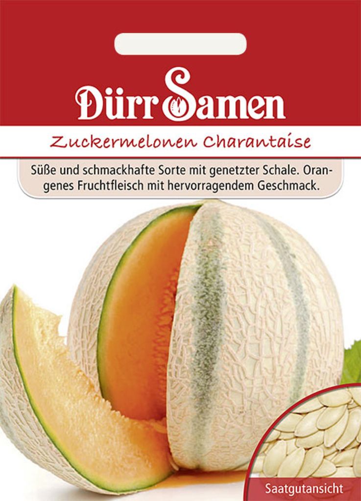 Dürr-Samen - Zuckermelone Charantaise - Saatgut - 0913