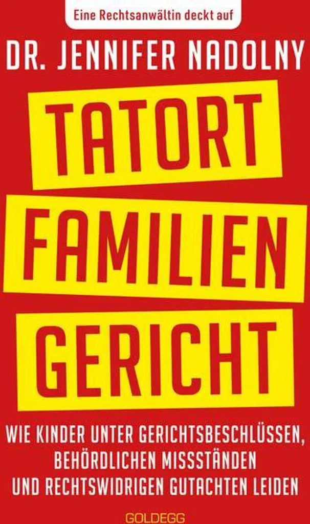 Livre Le tribunal de la famille : manuel pratique sur les procédures