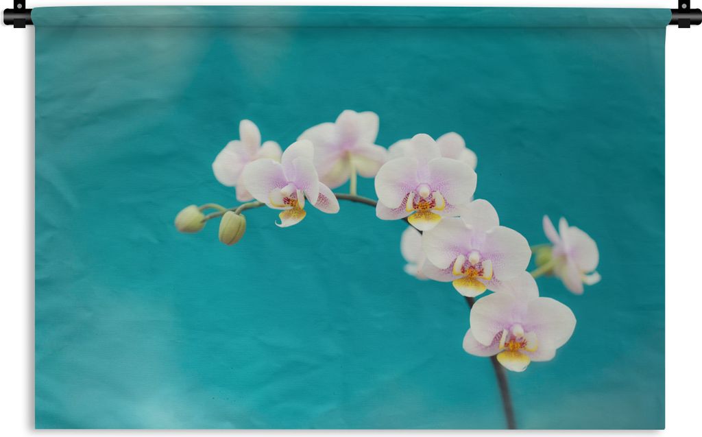 MuchoWow Wandteppich Wandbehang Orchidee - Blumen - Pflanze - Weiß - Lila 90x60 cm Tapisserie Dekoration Wandtuch - Wandskulpturen - Bildteppich