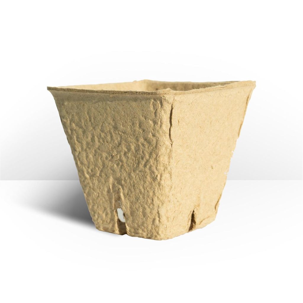 Quadratischer Torftopf 6 × 6 cm – biologisch abbaubarer Anzuchttopf für Gartenpflanzen, Aussaat und Pikieren