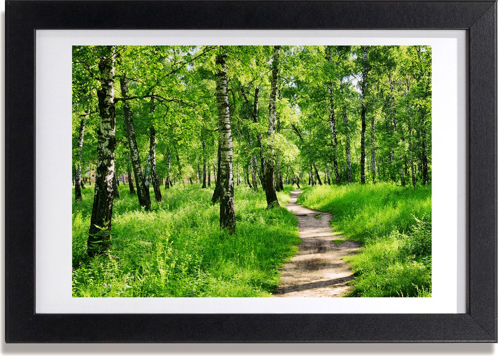 Bild 30x20 MDF-Rahmen, Wandkunst Birkenwald