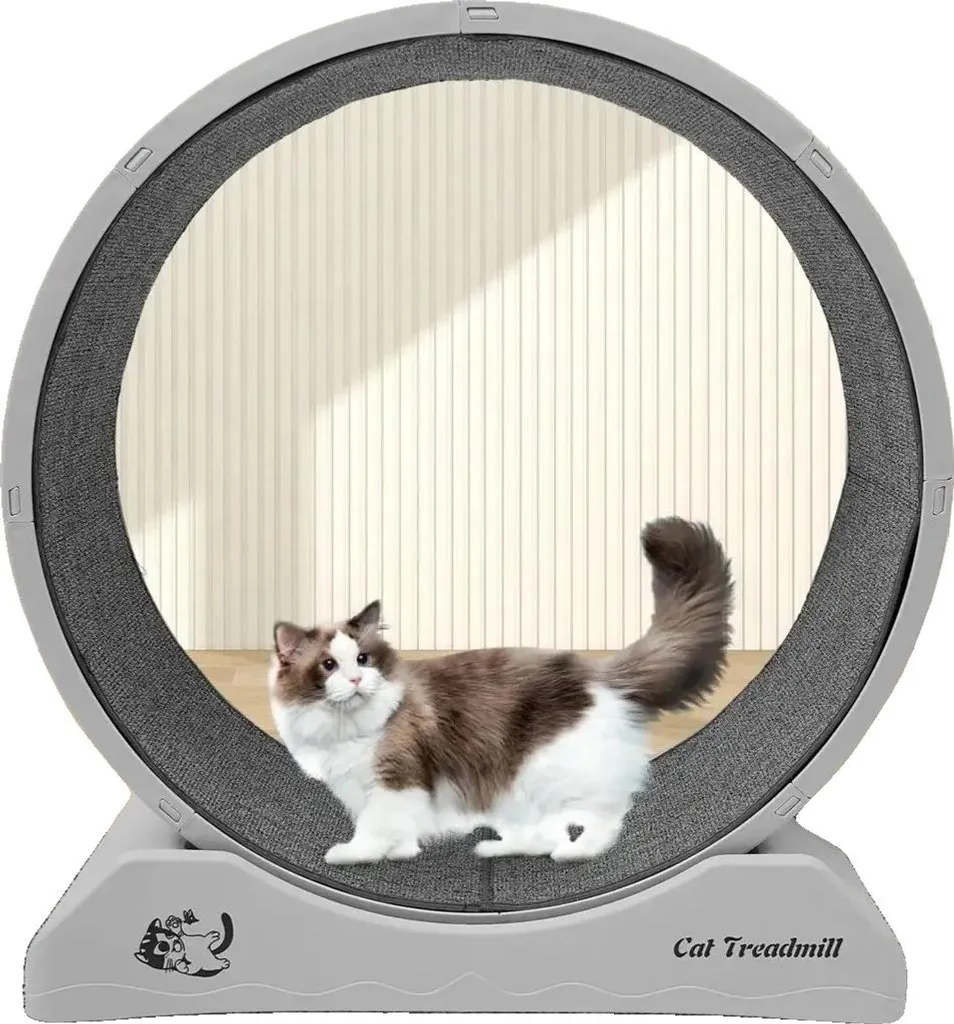 Roue pour chat silencieuse et compacte - Design gris pour petit chien