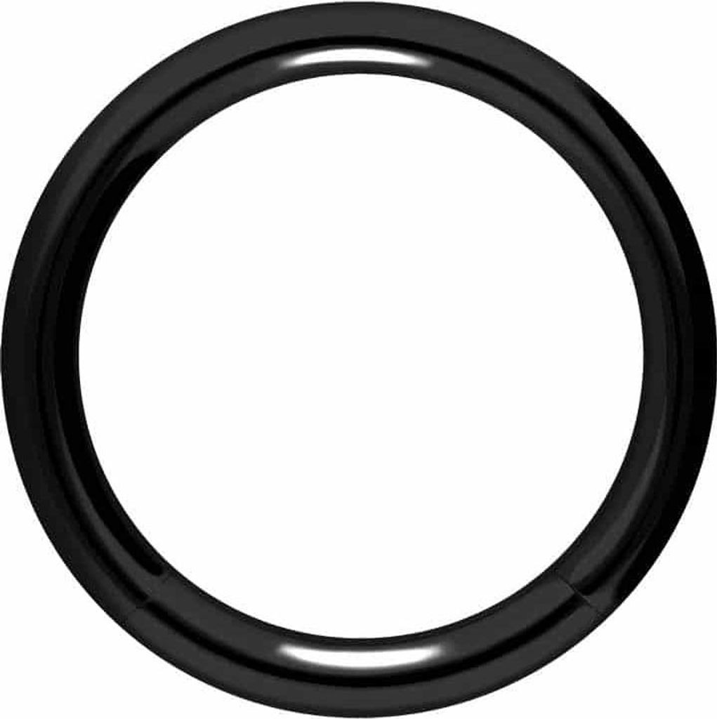 Intim-Piercing, Septum Piercing Chirurgenstahl Segmentring Schwarz Innendurchmesser: 14mm + Stabstärke: 2mm