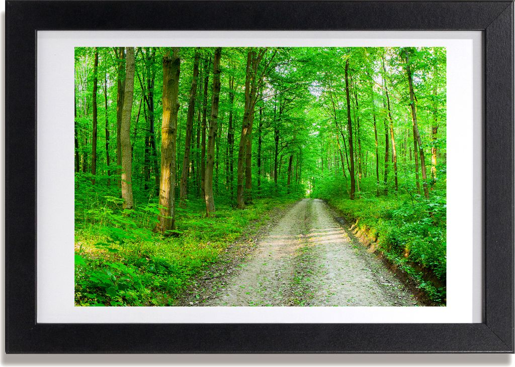 Bild 30x20 MDF-Rahmen, Wandkunst Bäume im Wald