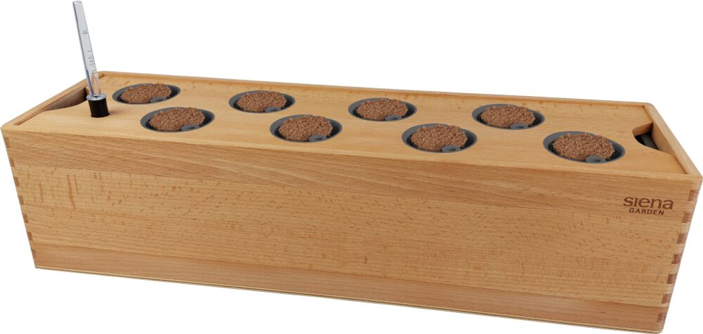 SIENA GARDEN Hydroponik Box