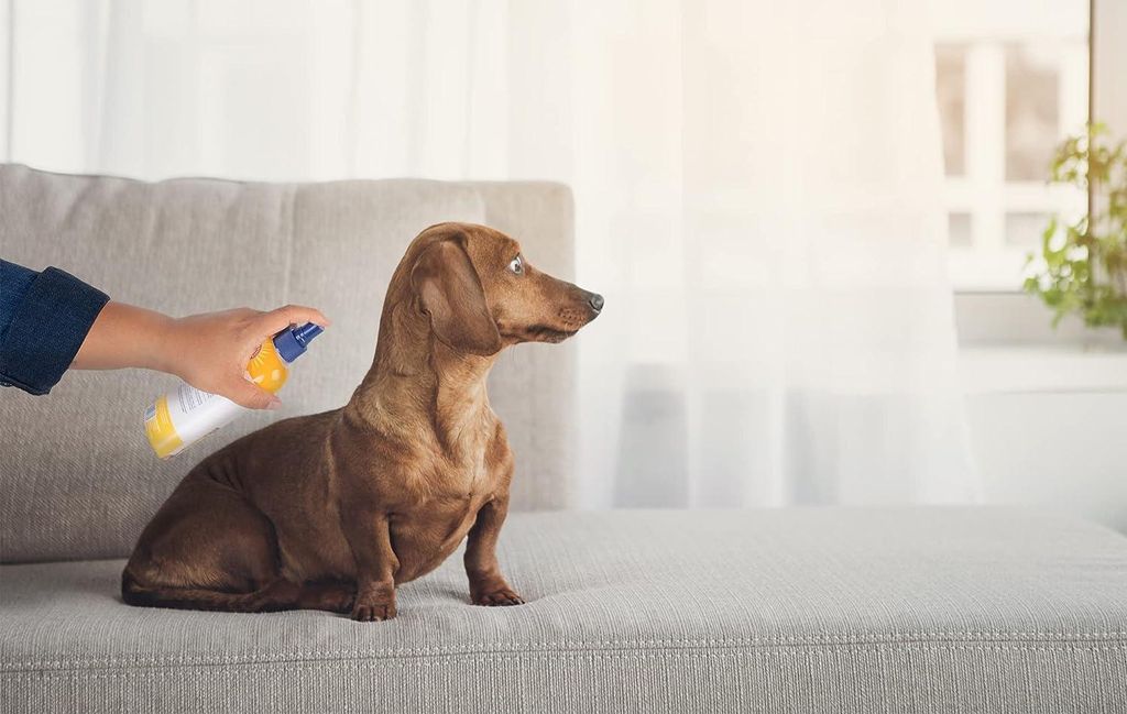 Spray, Arm & Hammer, Juckreizlinderung, Hunde und Katzen, Produktbild 