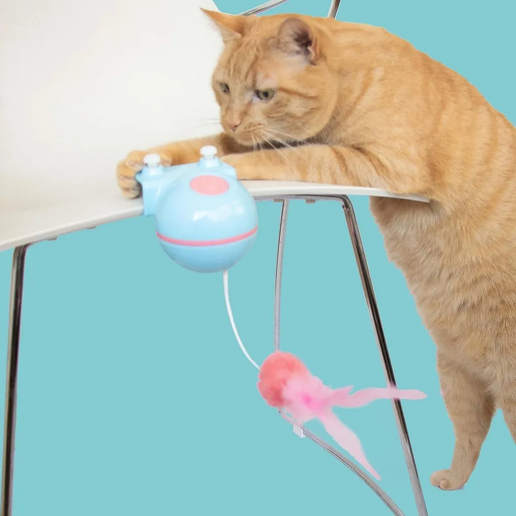 Jouet vibrant pour chat Coockoo Reckless Roxy interactif et ludique - 5
